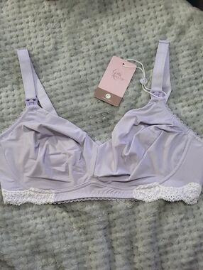 Nwt Cake Lingerie Soft Cup Maternity Lavender Wireless Bra 36C
